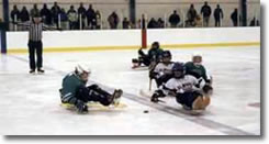 Click here to view larger image