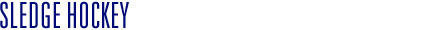 Sledge Hockey